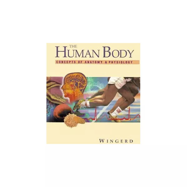 Human Body