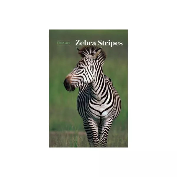 Zebra Stripes