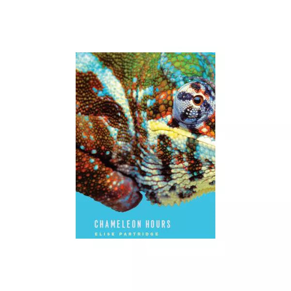 Chameleon Hours