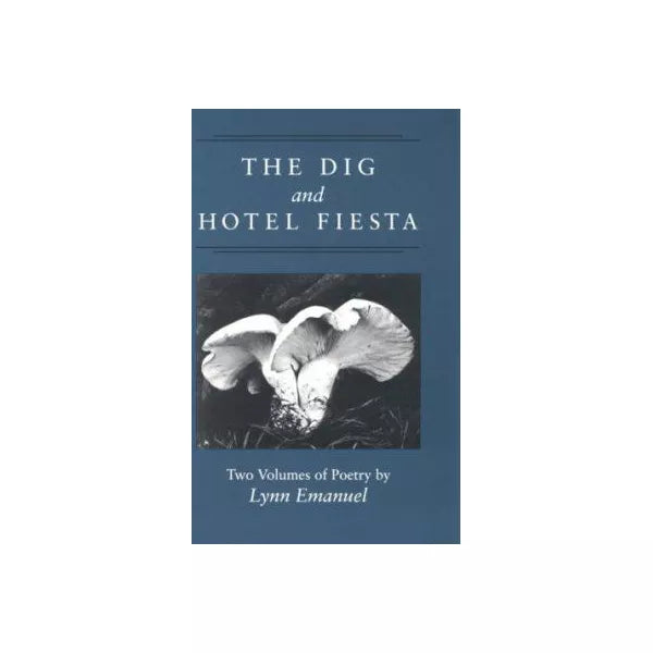 Dig & Hotel Fiesta