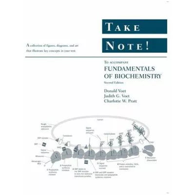 Fundamentals of Biochemistry: Life at the Molecular Level