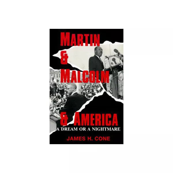 Martin &amp; Malcolm &amp; America