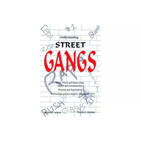 Understanding Street Gangs
