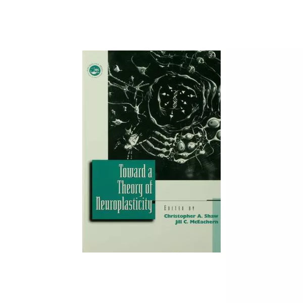 Toward a Theory of Neuroplasticity