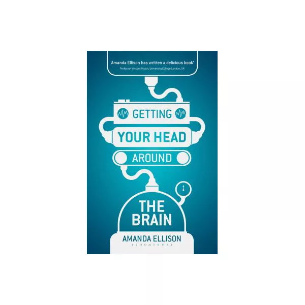 Getting your head around the brain