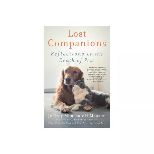 Lost Companions