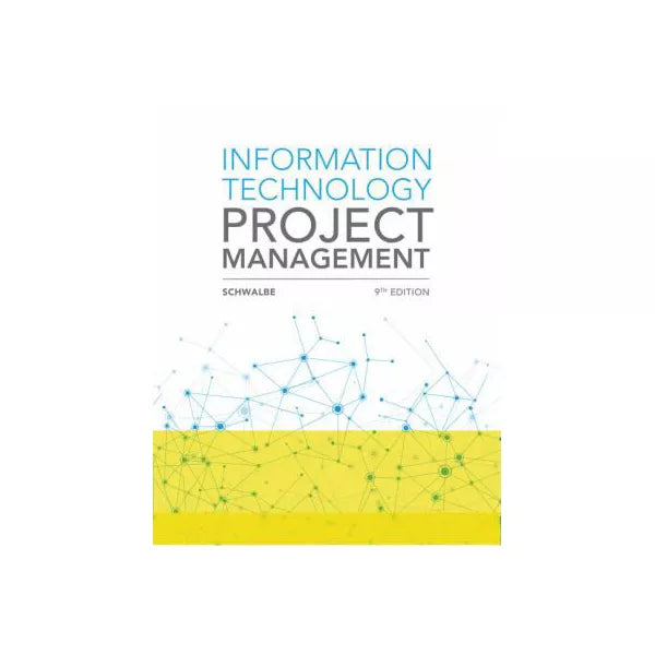 Information Technology Project Management
