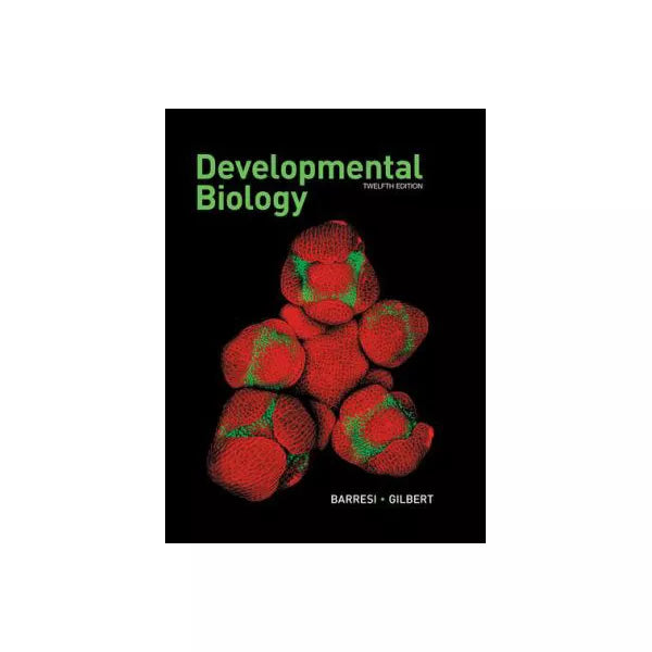 EDT Developmental Biology Print