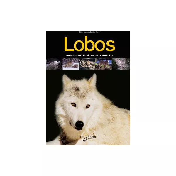 Lobos. Mitos y leyendas. El lobo en la actualidad