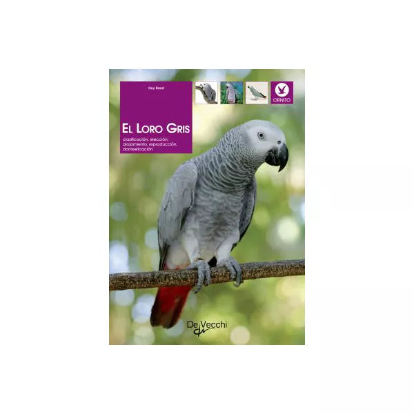 El loro gris