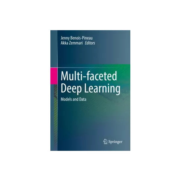 Multi-faceted Deep Learning
